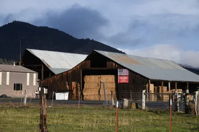 DSC_5790 (Large).JPG